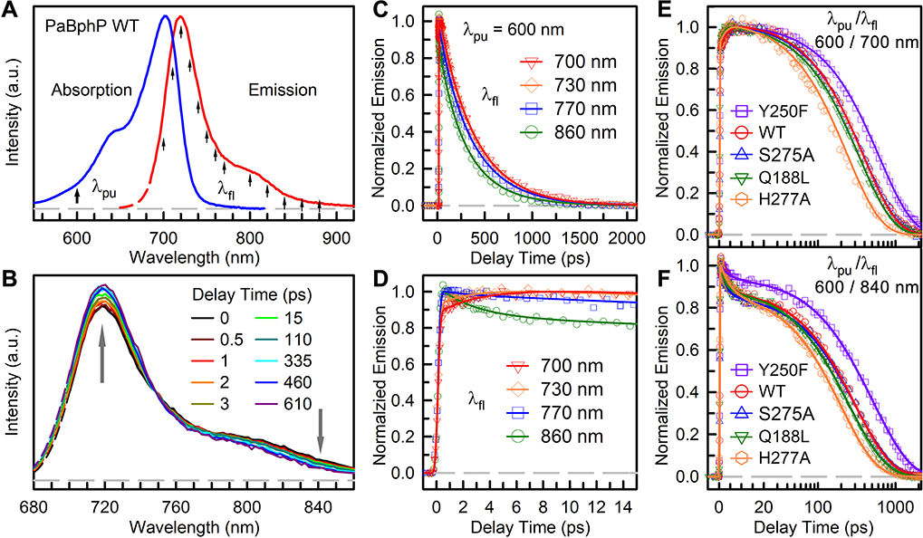 Figure 2.