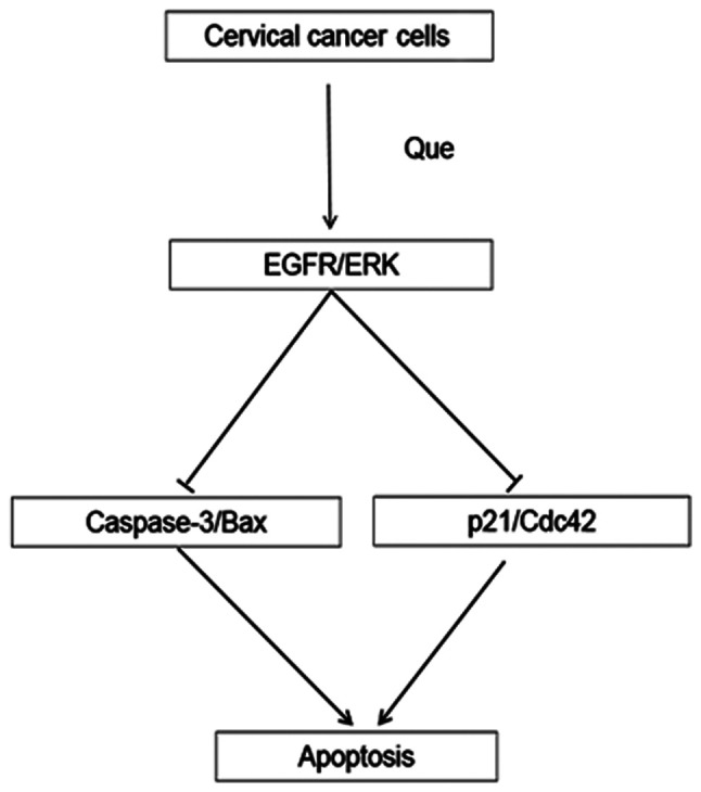 Figure 8.