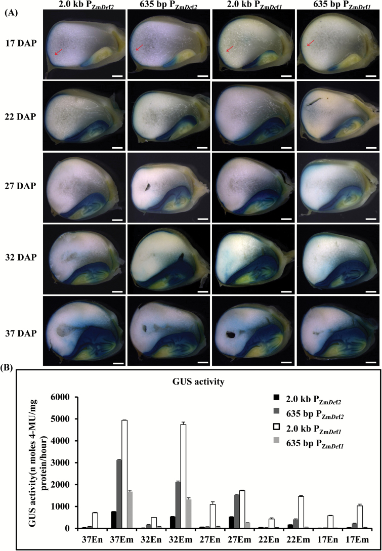 Fig. 3.