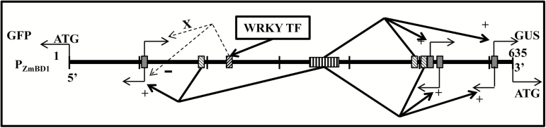 Fig. 7.