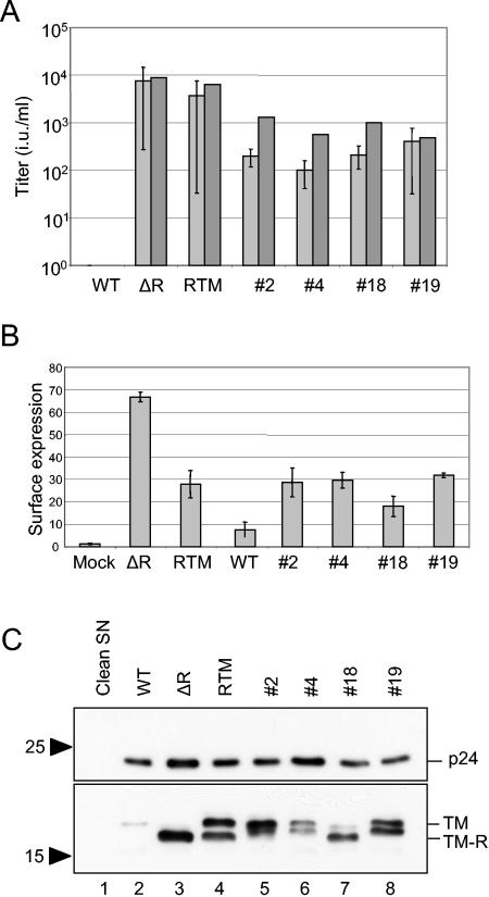 FIG. 2.