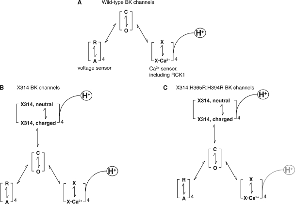 Figure 11.