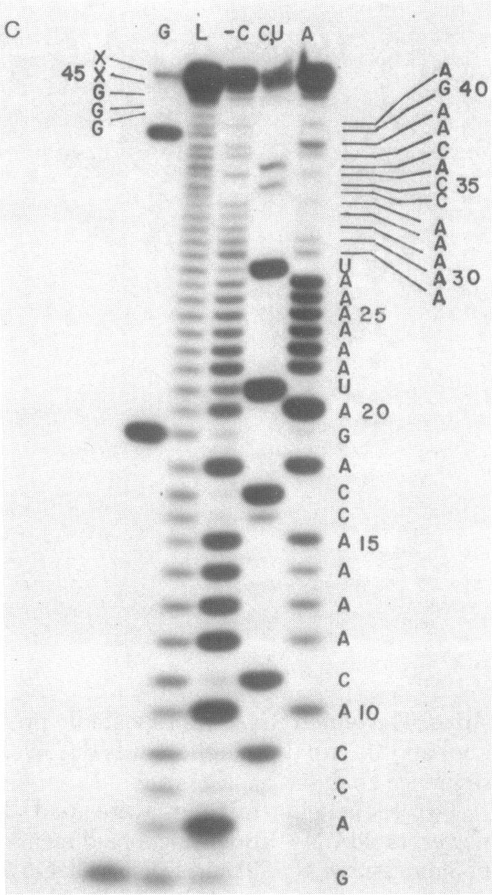 graphic file with name pnas00669-0080-a.jpg