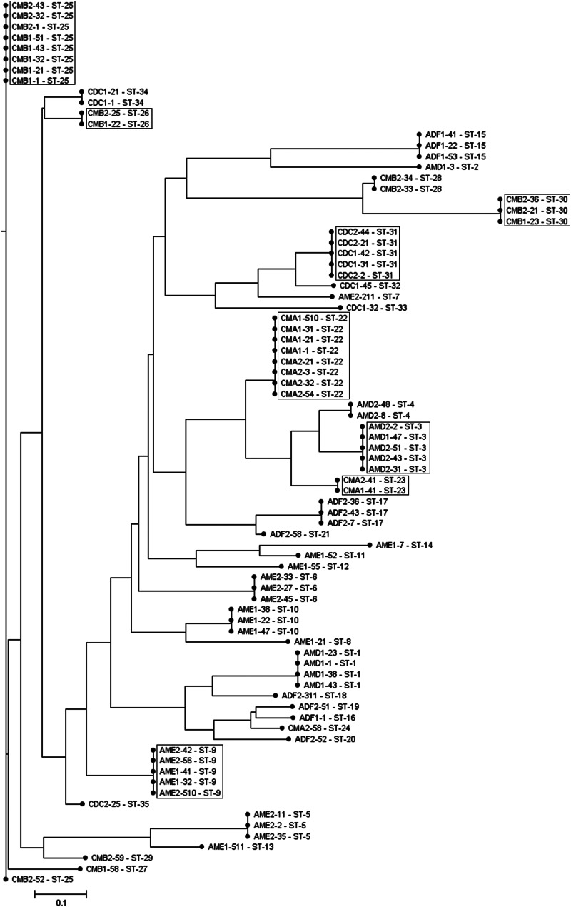 FIG 2