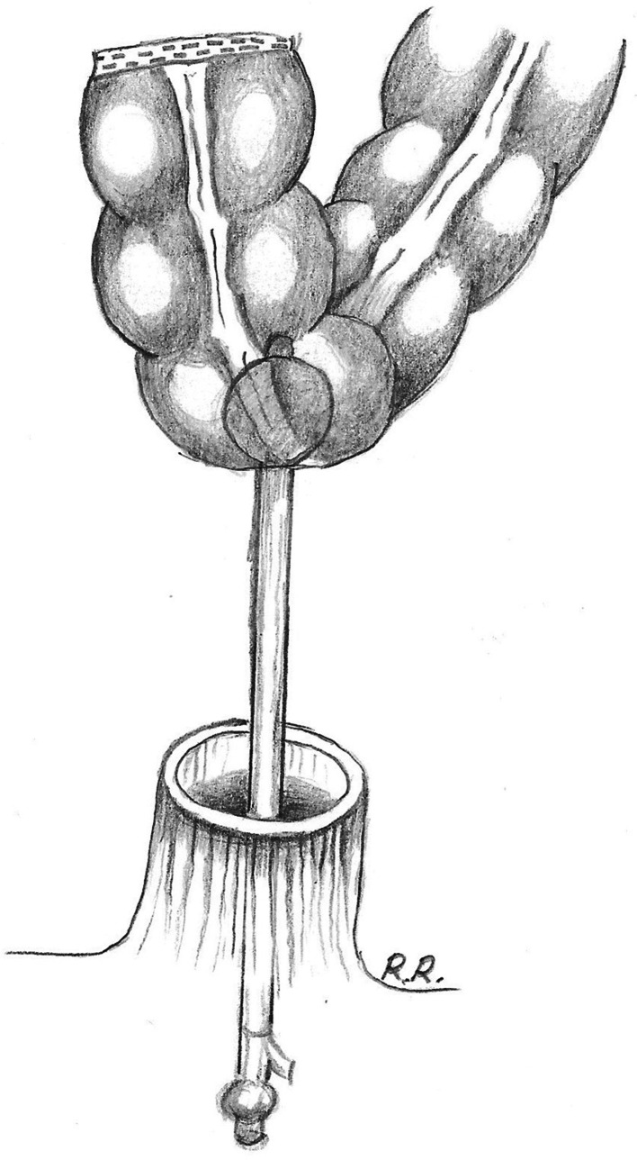 Fig. 1