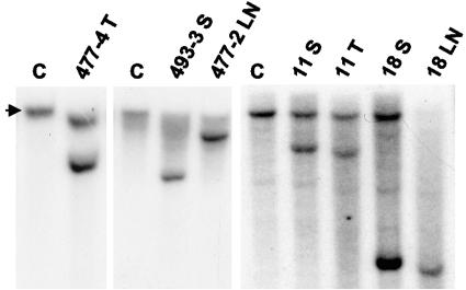 FIG. 6.