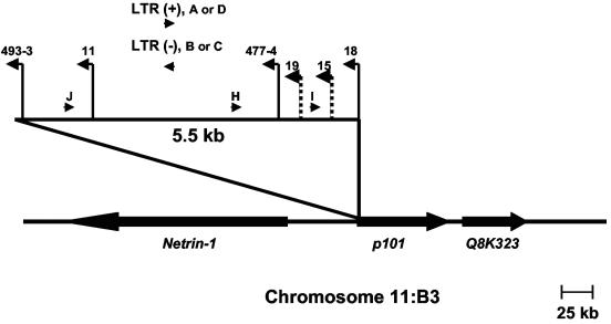 FIG. 7.