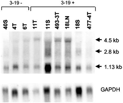 FIG. 8.