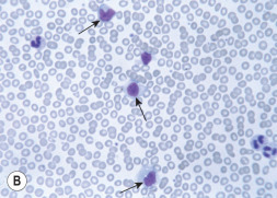 FIGURE 27.3