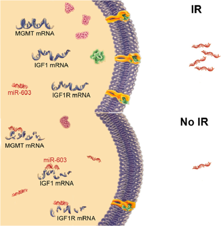 Image, graphical abstract