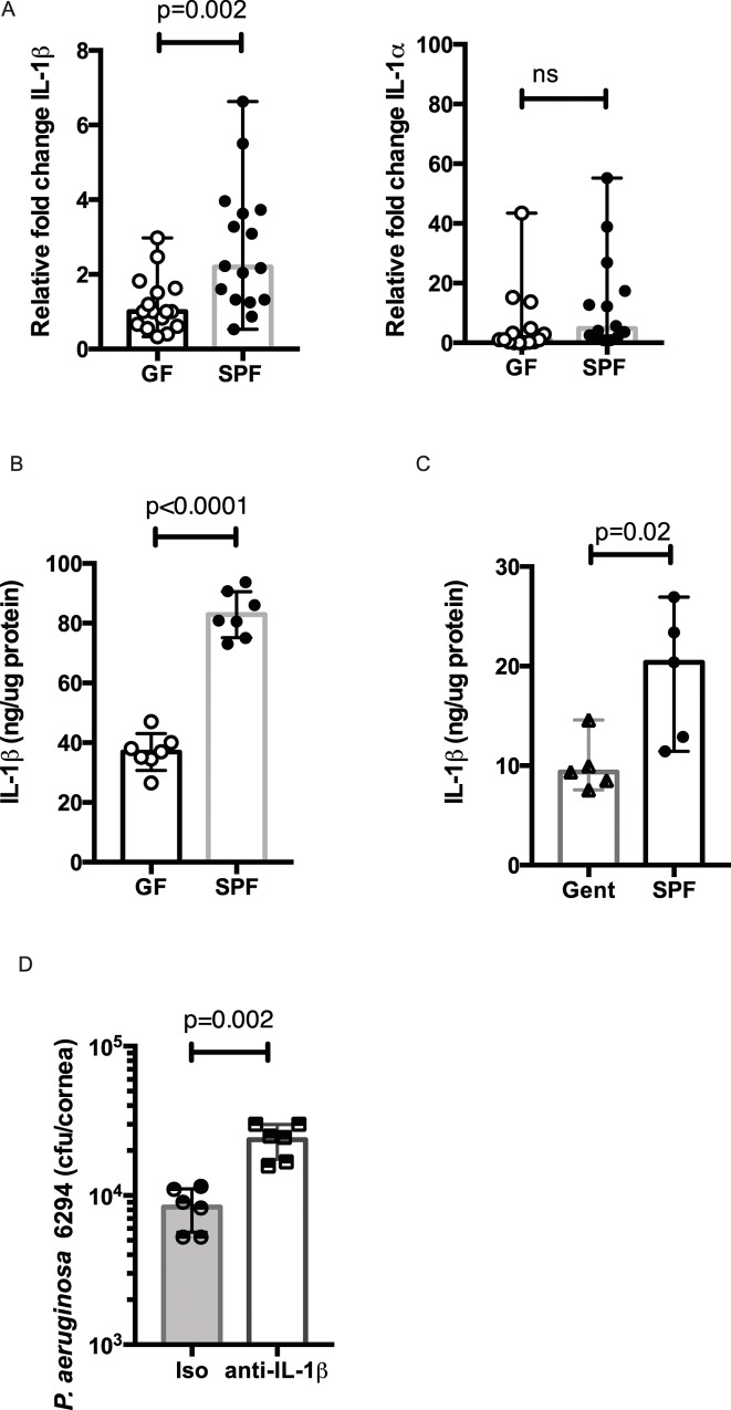 Fig 8