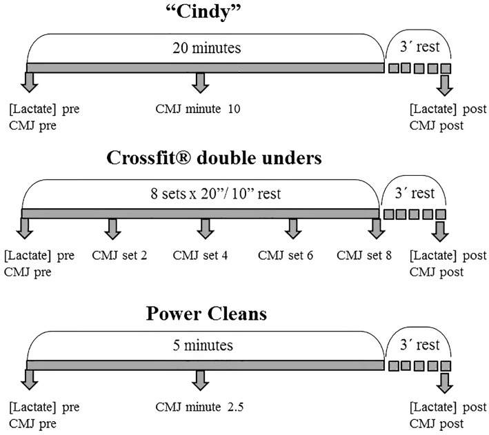 Fig 1