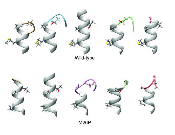 Figure 6—figure supplement 1.