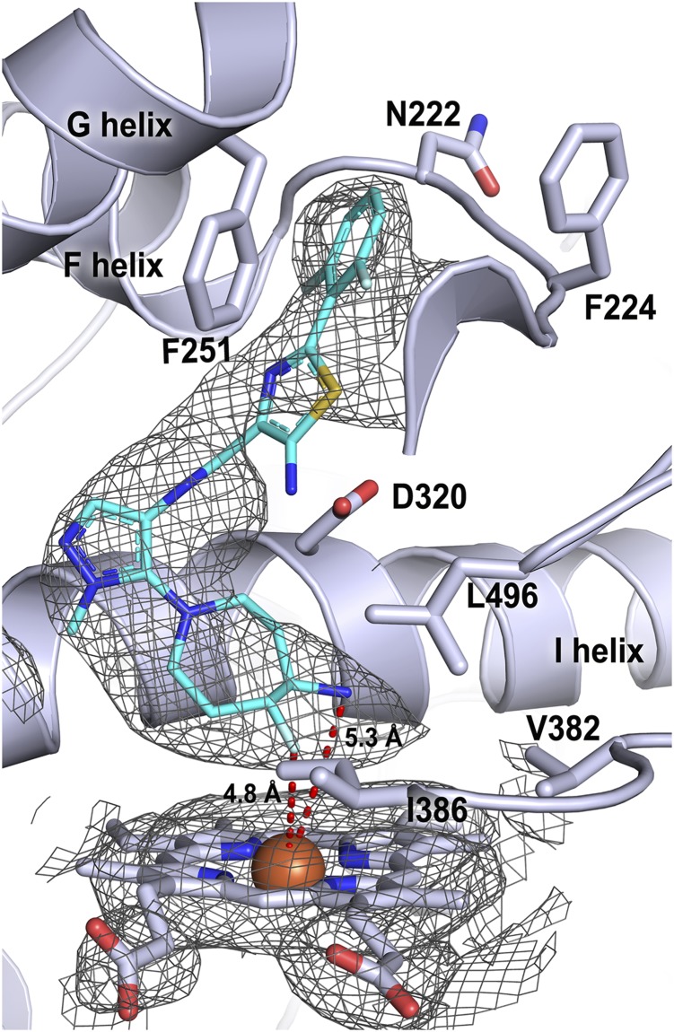 Fig. 3.