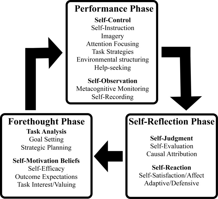 FIGURE 1