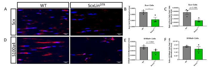 Figure 1—figure supplement 1.