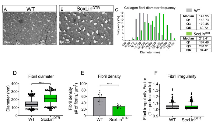 Figure 9—figure supplement 2.