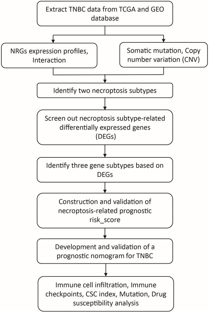 Figure 1