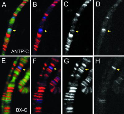 FIG. 6.