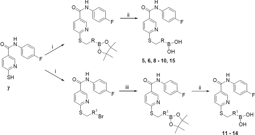 Scheme 1