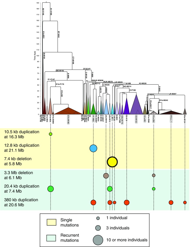 Fig. 3