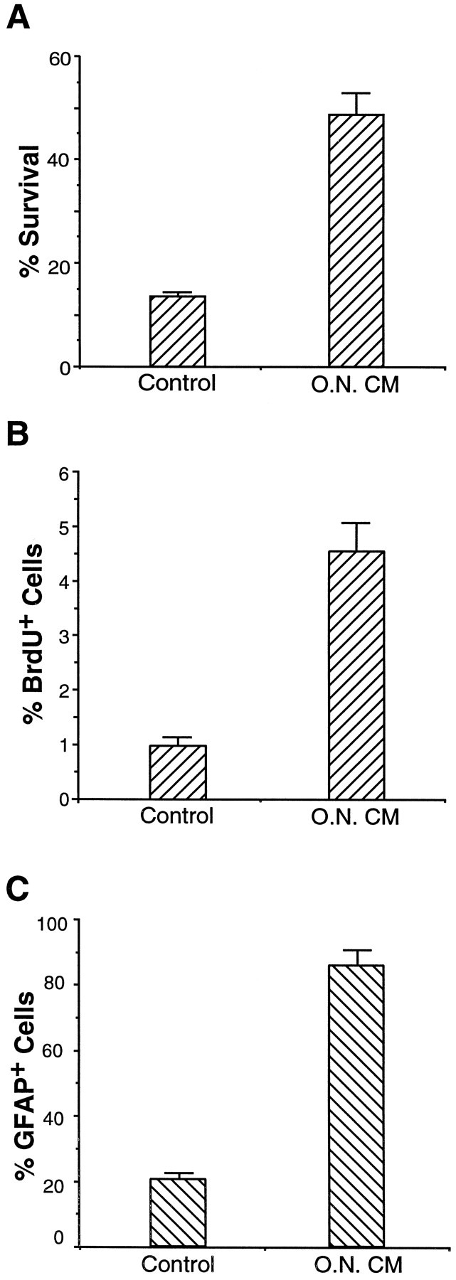 Fig. 9.