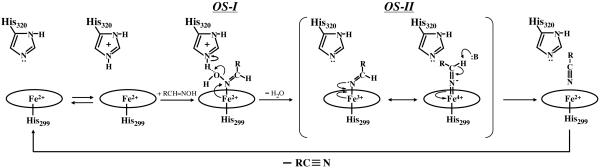 Fig. 5.