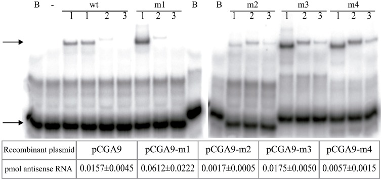 Figure 5