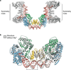 Extended Data Figure 7