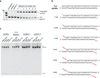 Extended Data Figure 6