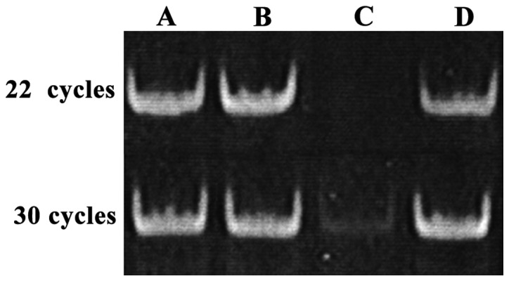 Figure 2.