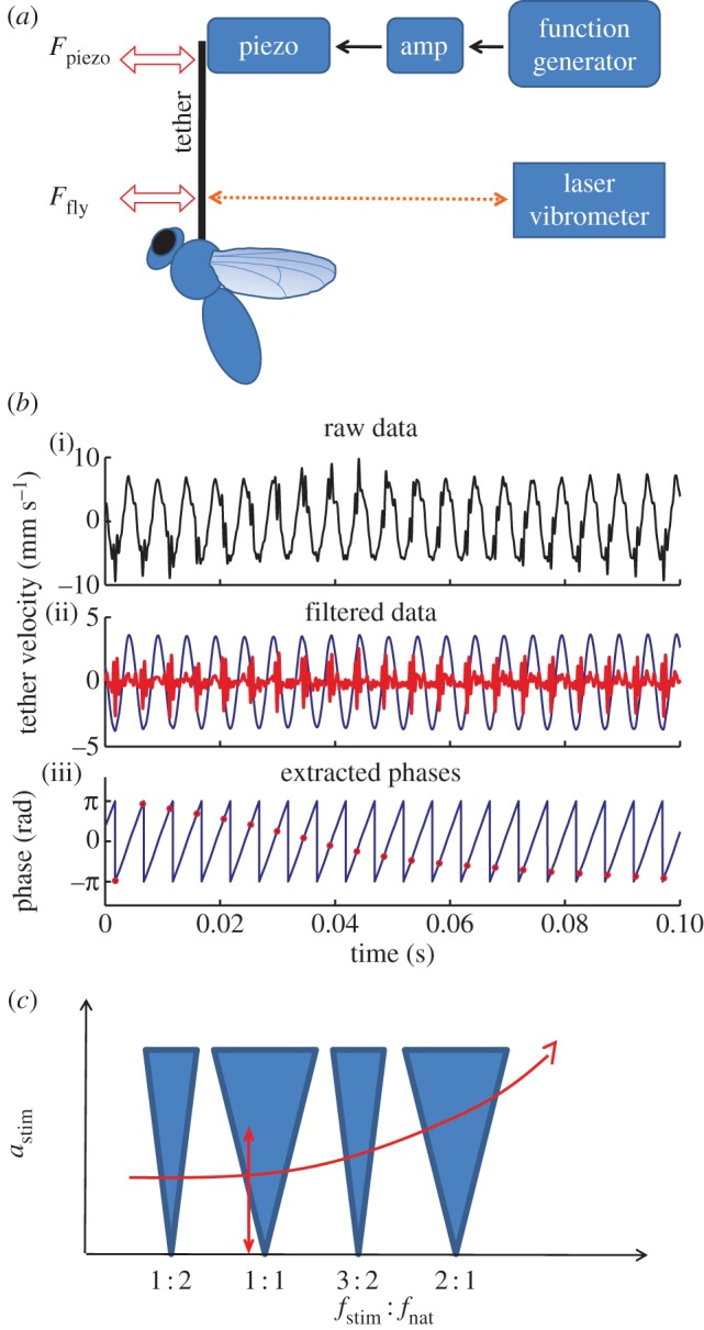 Figure 2.