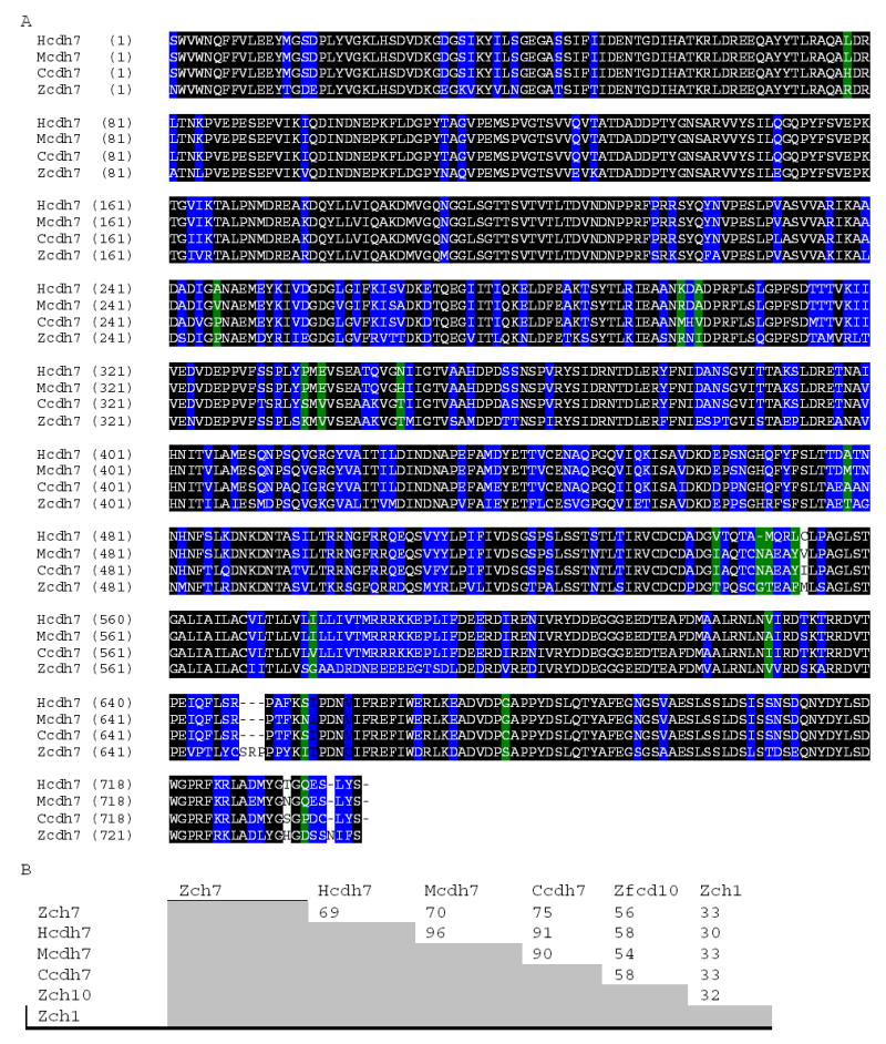 Figure 2A