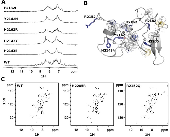 Figure 2.