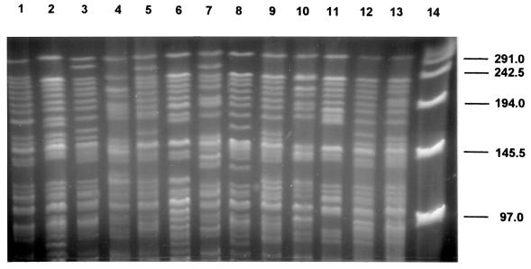 FIG. 5.