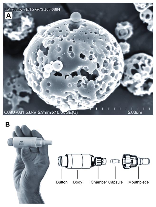 Tobramycin administered by the TOBI® Podhaler® for persons with cystic ...