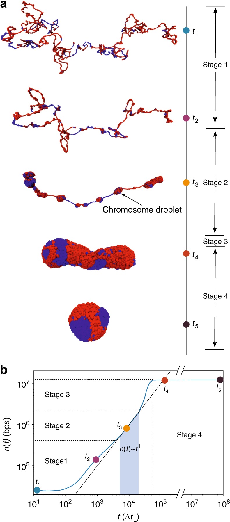 Fig. 9