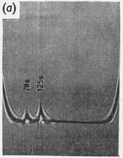 Fig. 3. (a)