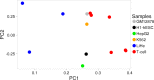 Figure 7.