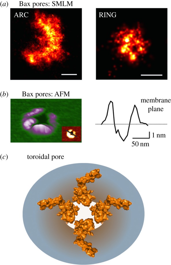 Figure 2.