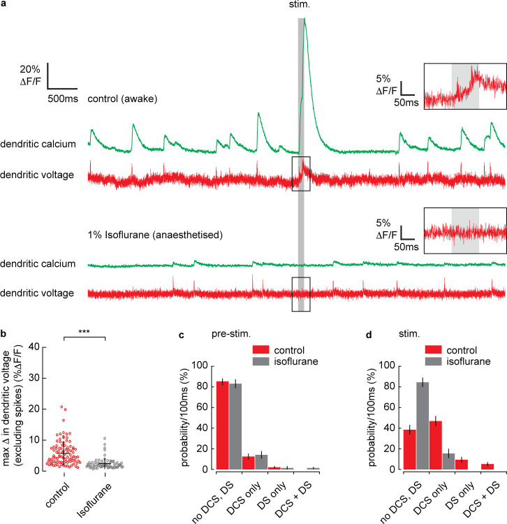 Figure 2—figure supplement 5.