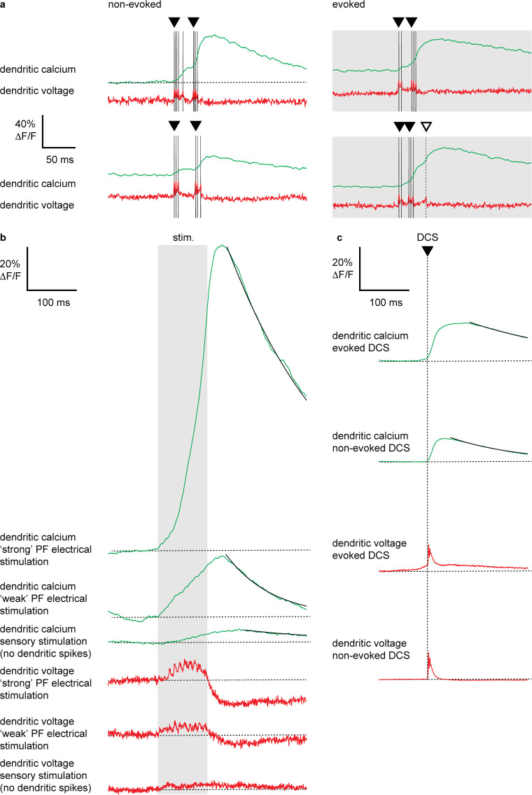 Figure 4—figure supplement 1.