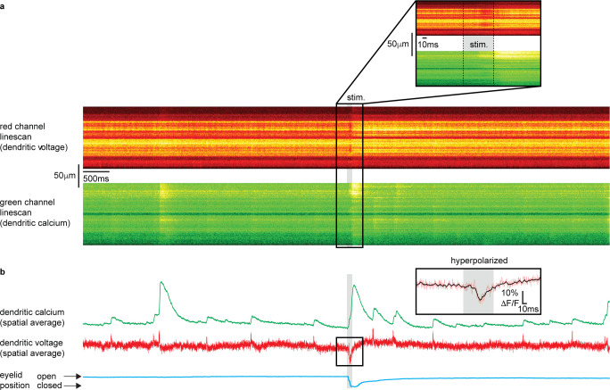 Figure 2—figure supplement 3.