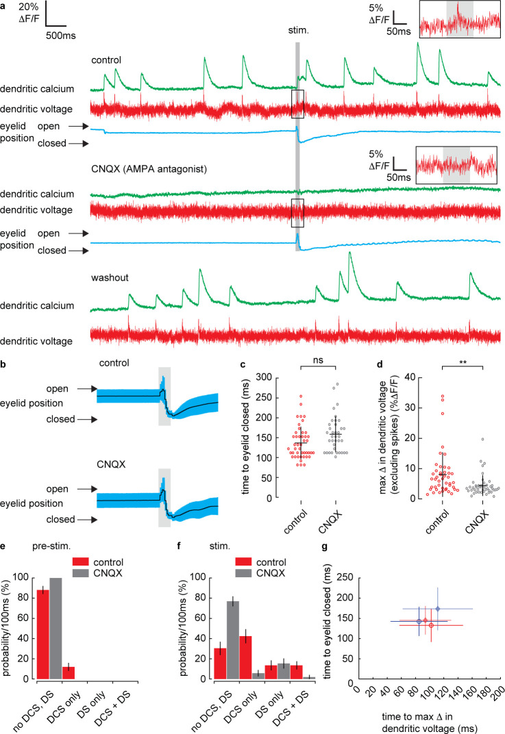 Figure 2—figure supplement 7.