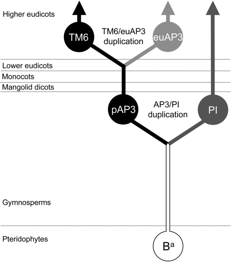 FIG. 1.