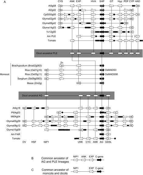 FIG. 4.