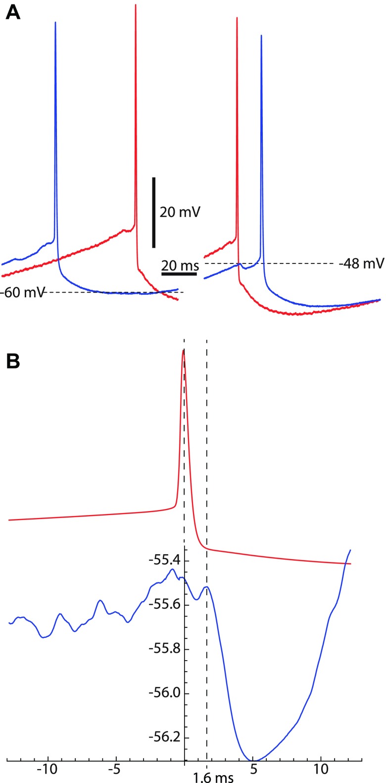 Fig. 8.