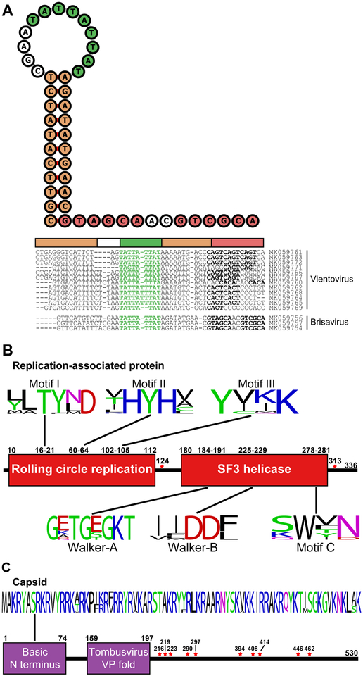 Figure 3: