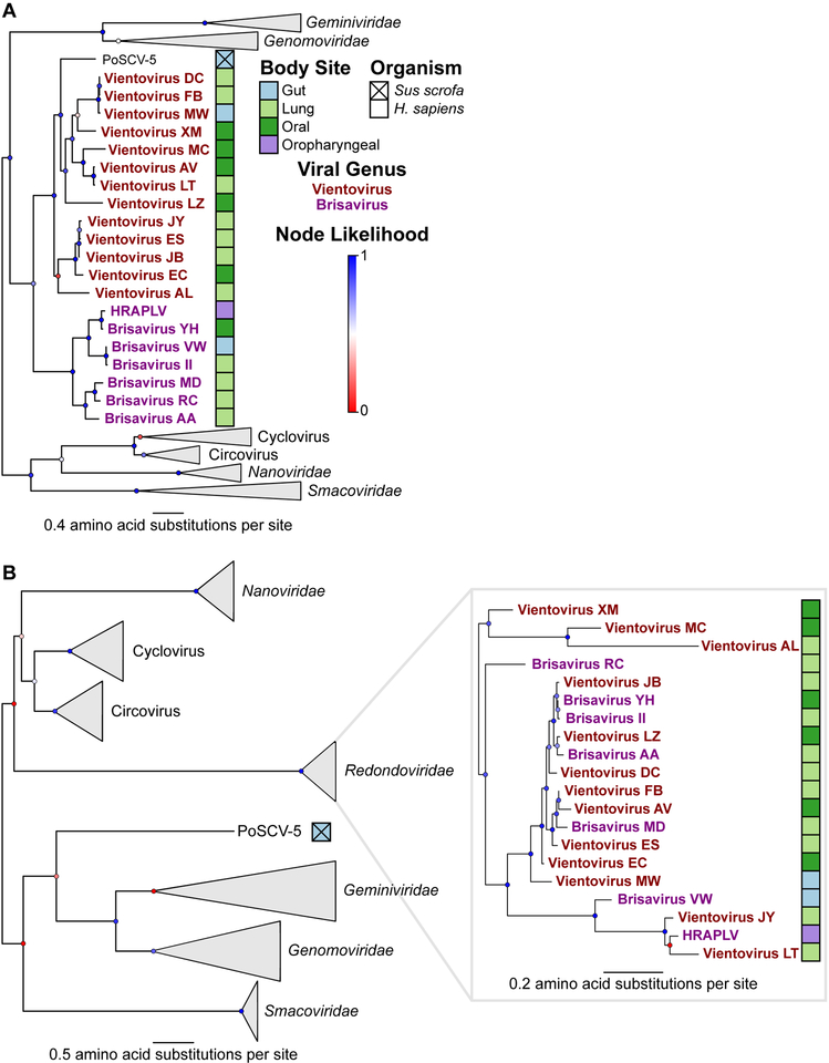 Figure 2: