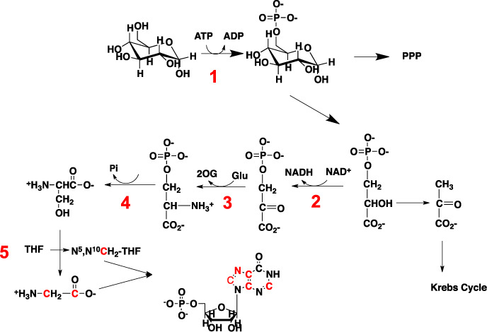 Figure 4.